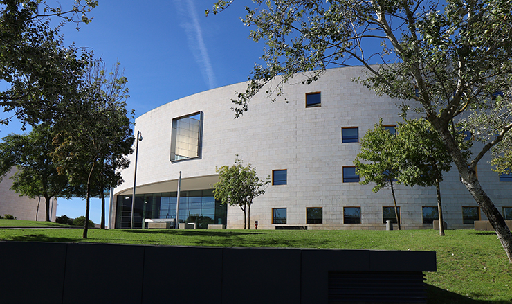 undergraduate education